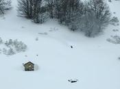 refugio
