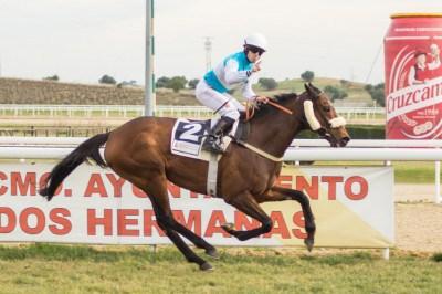 Espectacular victoria de Laffan en el premio Cruzcampo