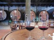 Oporto. ciudad vino