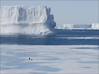 MAMI, QUE ME VOY A VIVIR AL POLO SUR
