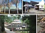 Resumen Viajero 2015