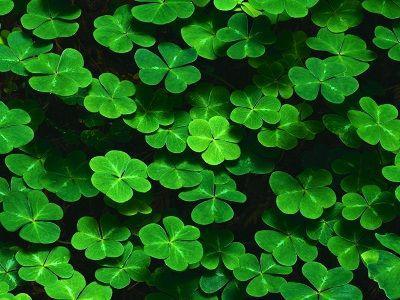 6 maneras de tener más suerte