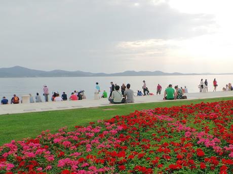 Zadar, la ciudad que me enamoró