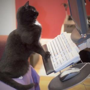 curso de mecanografía