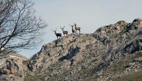 El sermón de la peseta