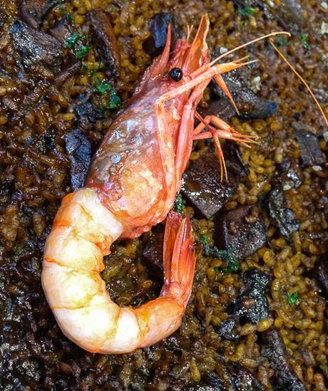 gamba de vilanova La pepa del mar Sitges Baco y Boca origens garraf