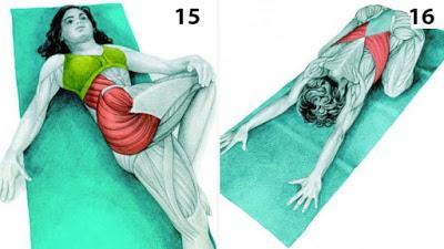 Los estiramientos, con imágenes del músculo relacionado Los estiramientos, con imágenes del músculo relacionado