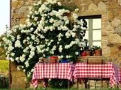 Casa Rustica Toscana