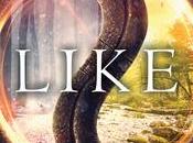 Reseña: Snow like Ashes Sara Raasch