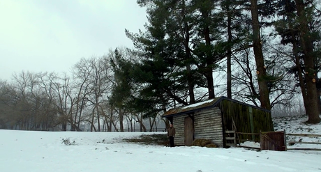 The Visit - 2015