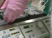 2017 realizara primer trasplante cabeza humanos