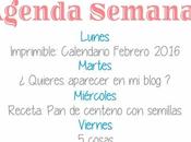 Agenda Semanal 25/01 31/01