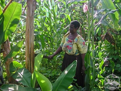 Desde Lubanda al mundo Desde Lubanda al mundo
