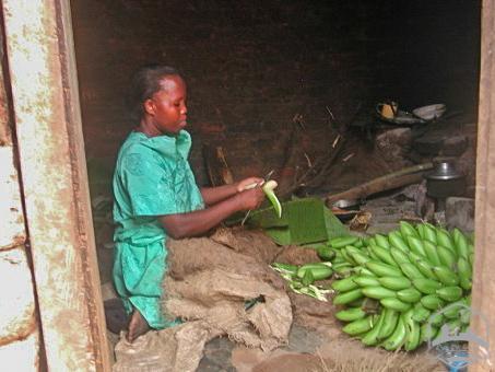Desde Lubanda al mundo Desde Lubanda al mundo