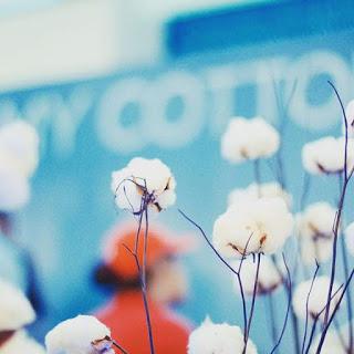 Productores Norteamericanos de insumos de algodón potencian TLC  con exportadores colombianos