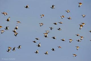 Todo depende de los ojos con que se mire (Basado en hechos reales)