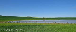 Todo depende de los ojos con que se mire (Basado en hechos reales)