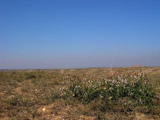 Todo depende de los ojos con que se mire (Basado en hechos reales)