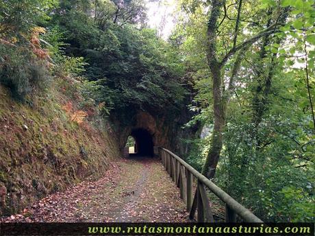 Ruta de Priañes: Túnel vista una vez pasado