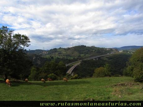 Ruta de Priañes: Vista de la autovía del occidente de Asturias