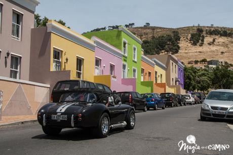 Cape Town: amor a primera vista (o 10 razones para visitar la ciudad) _MG_1338-21