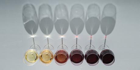 madrid, gastrofestival, madrid fusion, planes gastronomicos en madrid, salir en madrid, gastronomia, tapas en madrid, vinos, vinos en madrid, enocultura