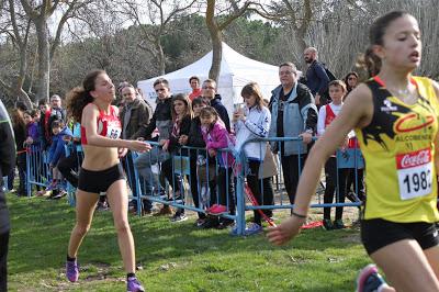 XXXI CTO. MADRID DE MENORES DE CLUBES CAMPO A TRAVES