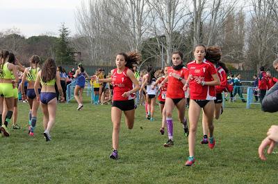 XXXI CTO. MADRID DE MENORES DE CLUBES CAMPO A TRAVES