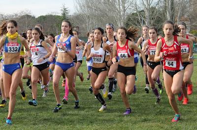 XXXI CTO. MADRID DE MENORES DE CLUBES CAMPO A TRAVES