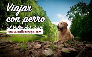 Viajar con perro al Valle del Jerte. Alojamientos para perros en el Valle del Jerte