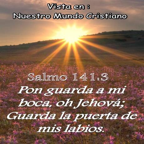 Palabras imprudentes