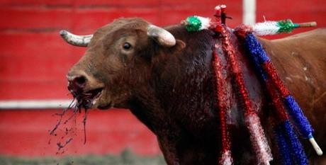 Corrida de Toros prohibición San Luis Potosí