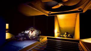 Umbrella-Corps_2016_01-26-16_009