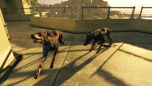 Umbrella-Corps_2016_01-26-16_001