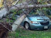 fuertes vientos desalojan Parques Tangamanga Morales