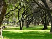 Parque Tangamanga contará unidad alto rendimiento
