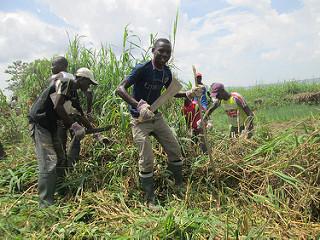 Miles de centroafricanos huyen del terror del LRA