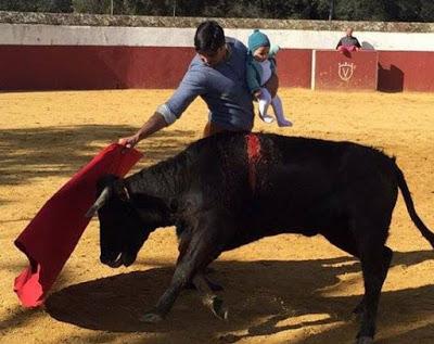 INDIGNACIÓN Y POLÉMICA EN ESPAÑA POR BRUTALIDAD DE TORERO