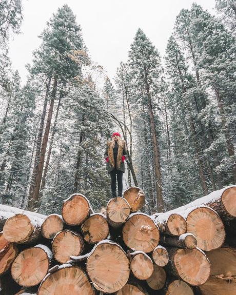 Inspiración: Winter wonderland II