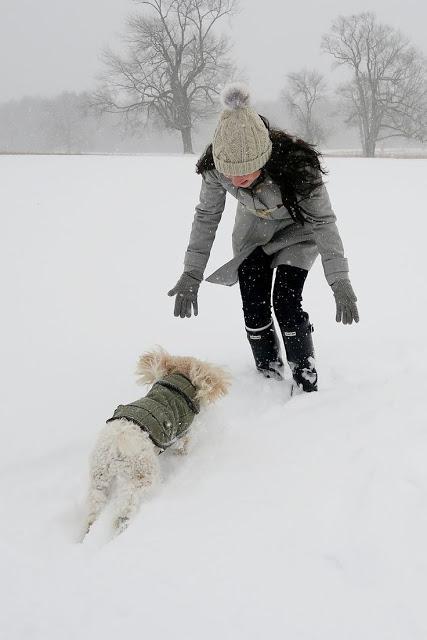 Inspiración: Winter wonderland II