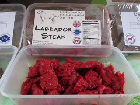 Carne de perro labrador