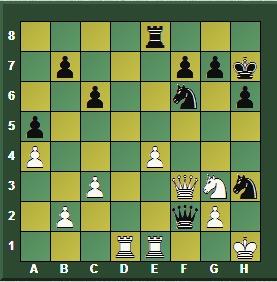 Magnus Carlsen en Wijk aan Zee (Holanda) – Torneo Tata Steel Masters 2016 (IX)