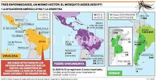 ¿Qué es el virus zika?