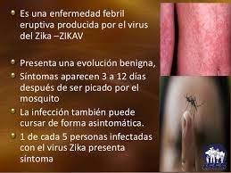 ¿Qué es el virus zika?