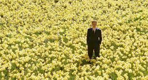 Big Fish + Clara Campcoamor