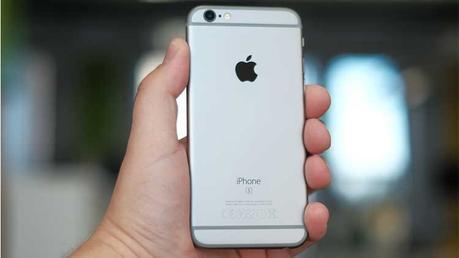 mrapple26012016 mrapple26012016