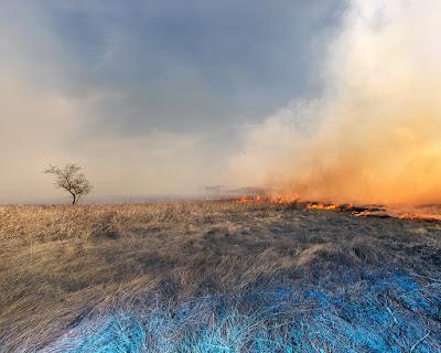 Impresionantes fotografías de Benoit Paillé