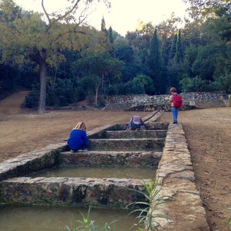 Canal en el Parc del Guinardó