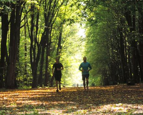 Zwierzyniec, un bosque dentro de la ciudad