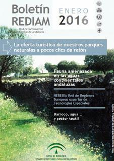 Salimos en el Boletín de la REDIAM